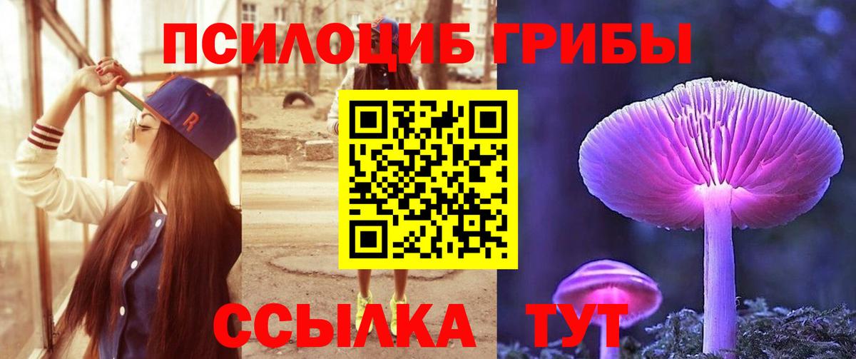 Псилоцибиновые грибы Magic Shrooms Владивосток