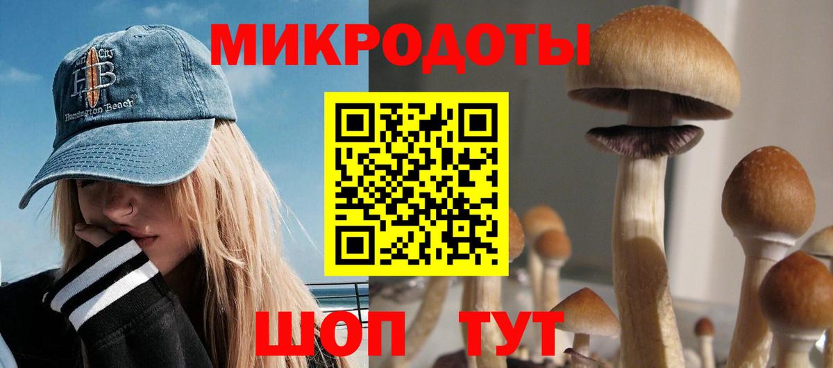 Владивосток  Псилоцибиновые грибы MAGIC MUSHROOMS  Вход с VPN 